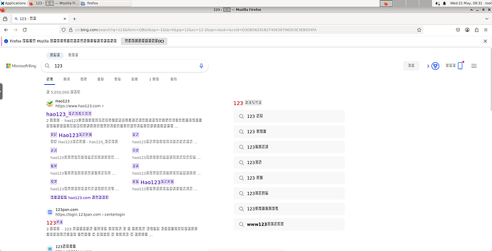 image-20250521093108656
