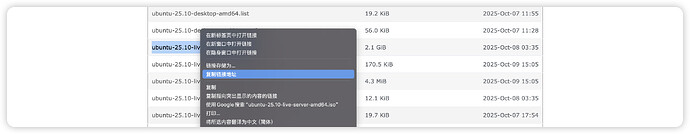 image-20251114220224274