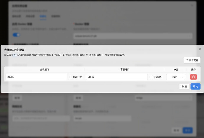 粘贴的图像