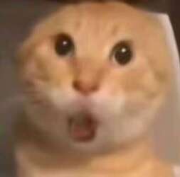 7d54fa217f3cc84089b26da1a1002a98