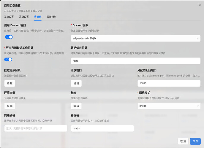 粘贴的图像