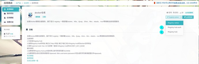 image-20250821100945899