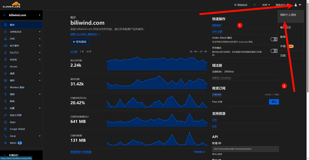 1Panel CloudFlare 1panel cloudflare