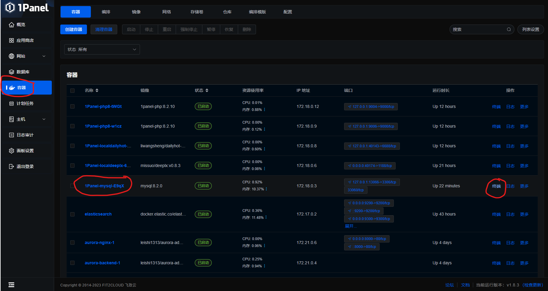 1panel mysql binlog rcs 